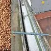 barley 20000 mt CFR Iran в Иране