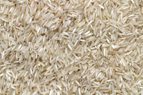 В Петербурге Управление Россельхознадзора запретило ввоз 100 тонн рисовой крупы, которая не прошла исследования на ГМО
