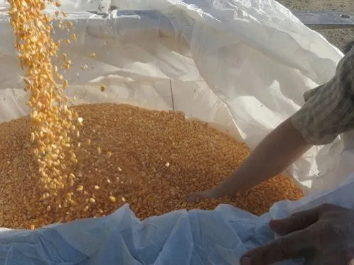 фотография продукта Кукуруза 3200 тонн. Иран. 